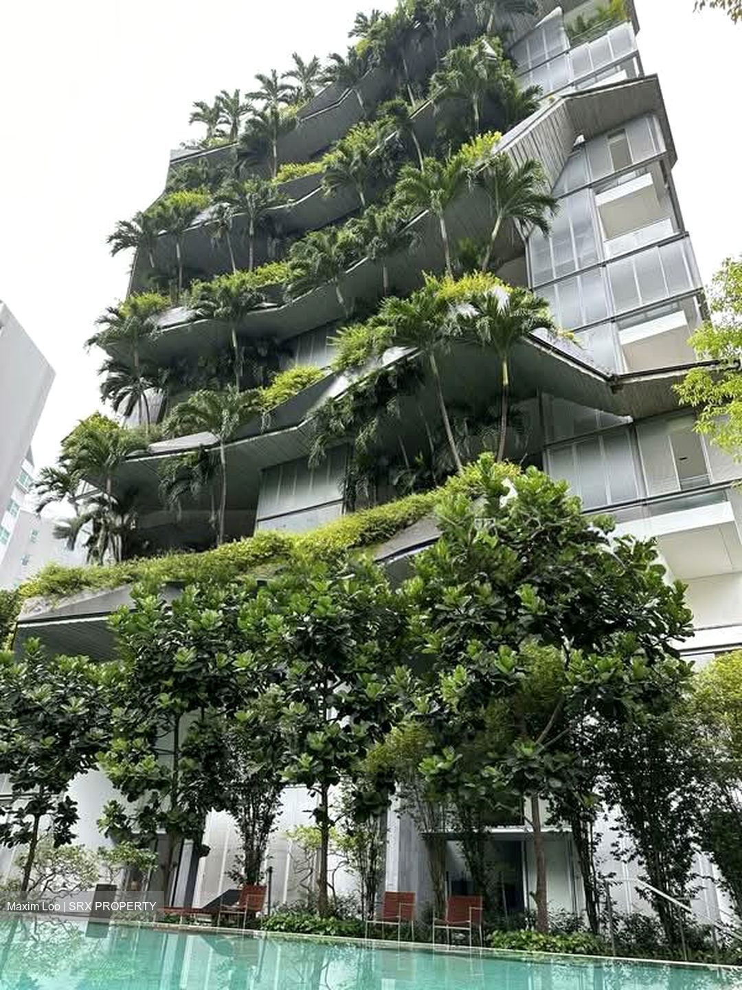 The Oliv (D10), Apartment #560118251
